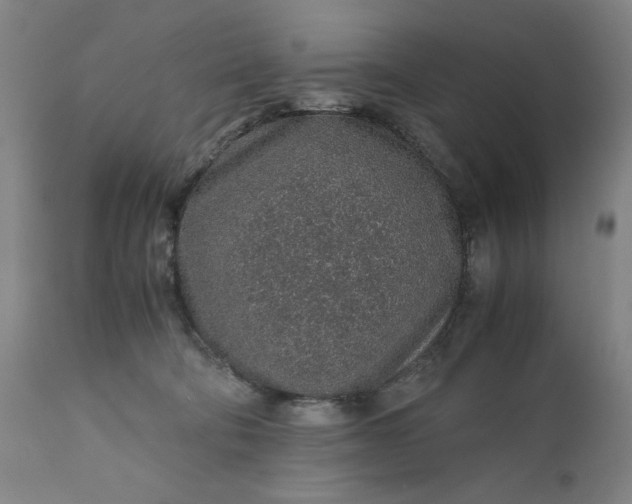 X0000110910322200907021441