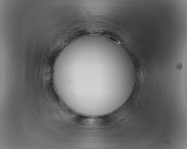 X0000110910323200907021441