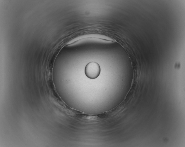 X0000110910324200907021441