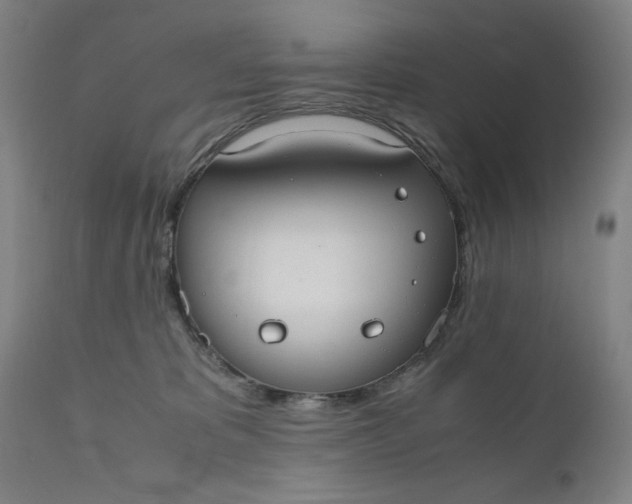 X0000110910325200907021441