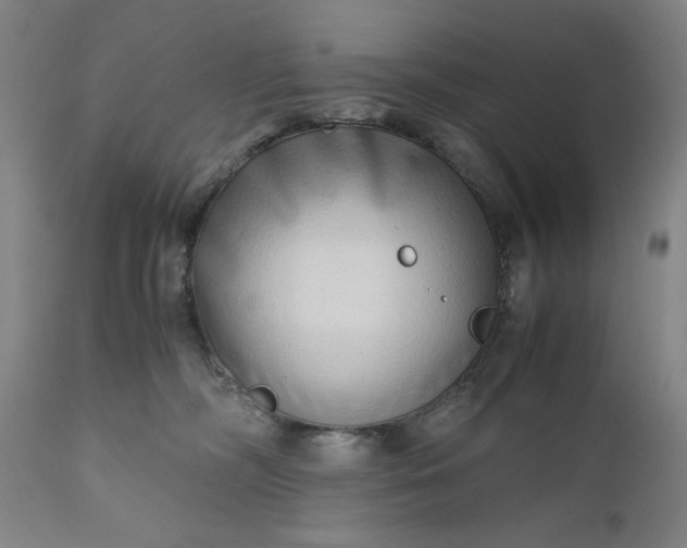 X0000110910326200907021441