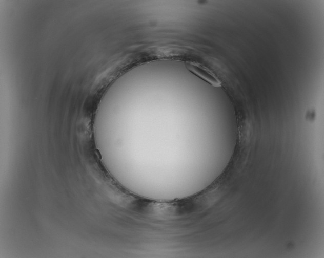 X0000110910327200907021441