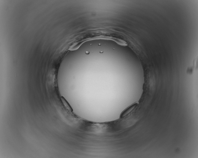 X0000110910328200907021441