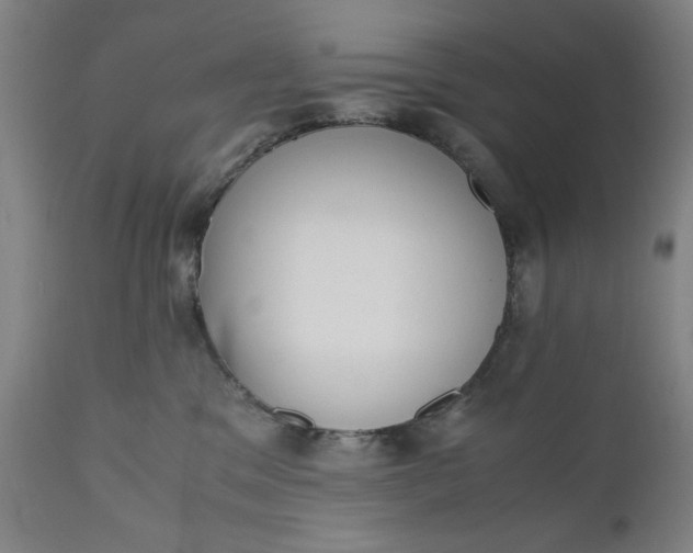 X0000110910329200907021441