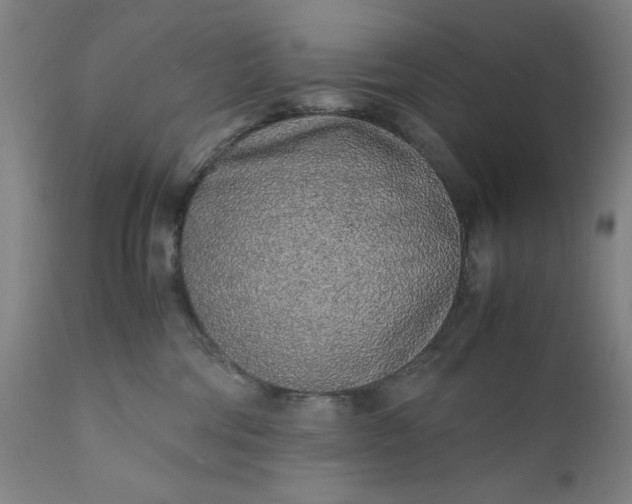 X0000110910330200907021441