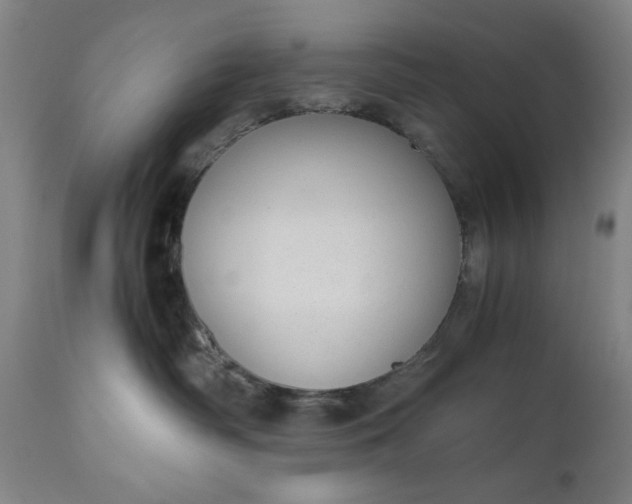 X0000110910334200907021441