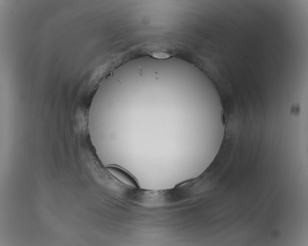 X0000110910335200907021441