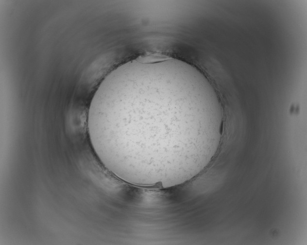 X0000110910336200907021441