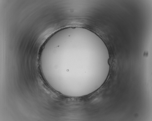 X0000110910338200907021440