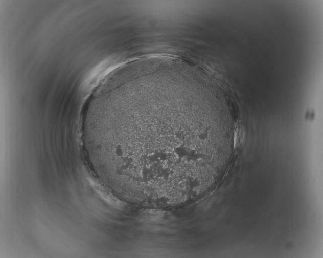 X0000110910339200907021440