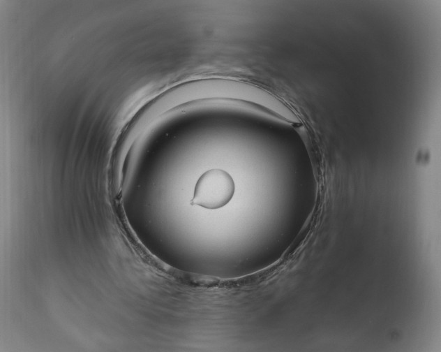 X0000110910340200907021440