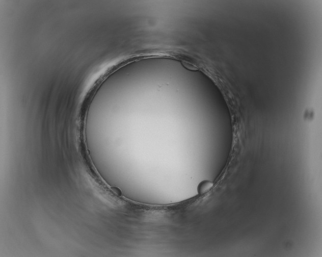 X0000110910342200907021440