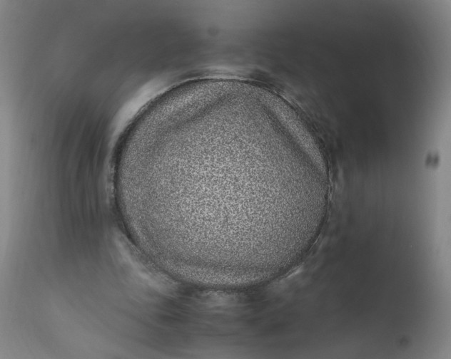 X0000110910343200907021440