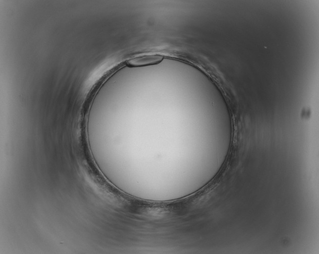 X0000110910344200907021440