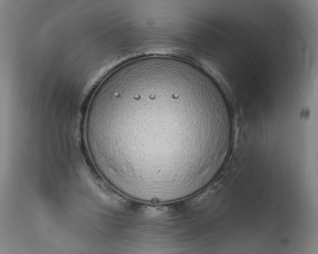 X0000110910346200907021440