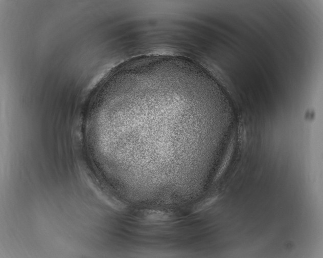 X0000110910347200907021440