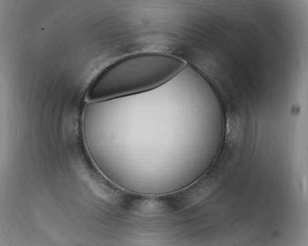 X0000110910348200907021440