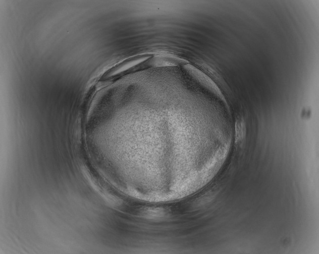 X0000110910349200907021440