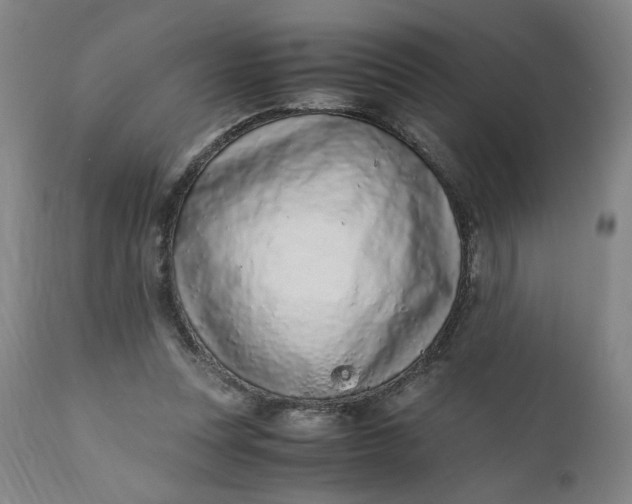 X0000110910351200907021440