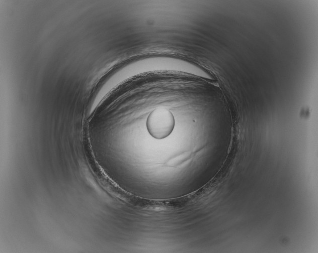 X0000110910352200907021440