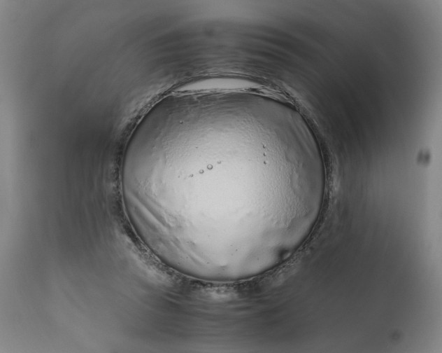 X0000110910353200907021440