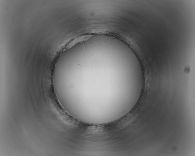 X0000110910354200907021440