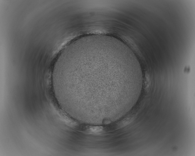 X0000110910355200907021440