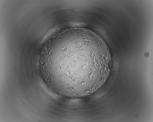 X0000110910357200907021440