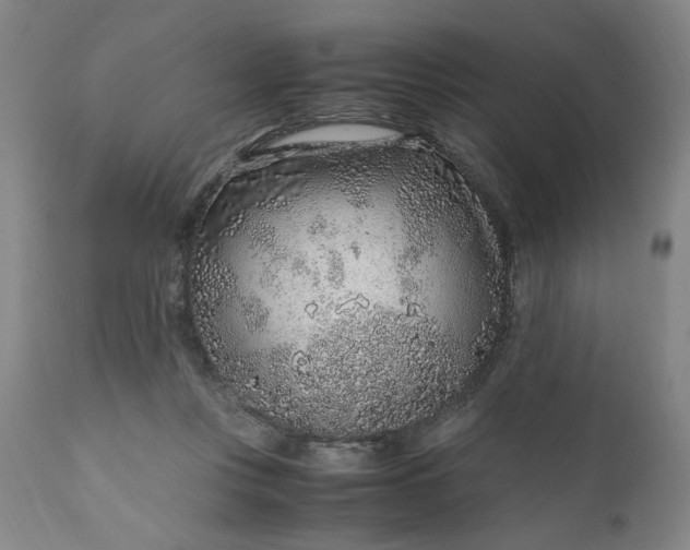 X0000110910359200907021440