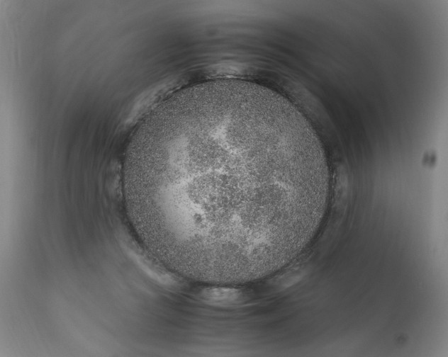 X0000110910361200907021440