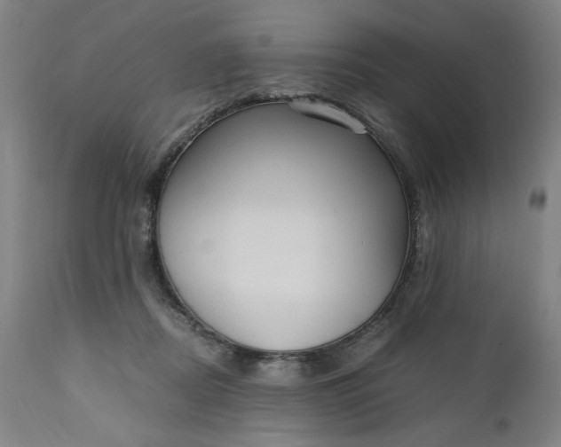 X0000110910362200907021440