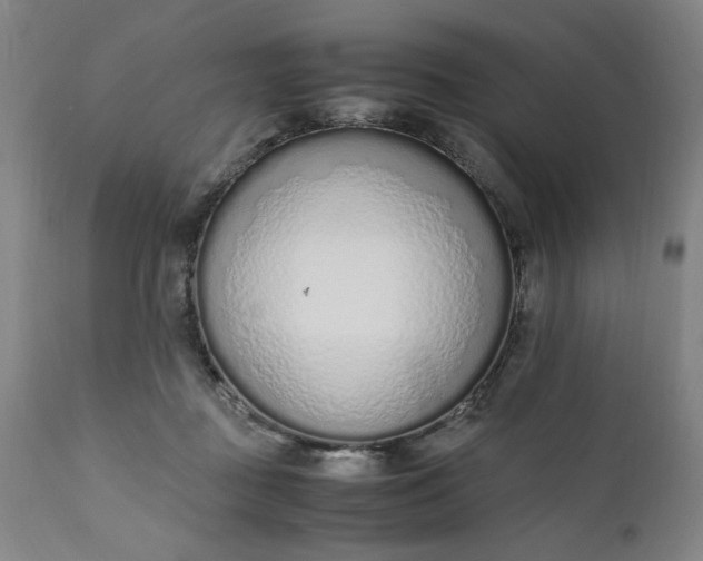 X0000110910363200907021441