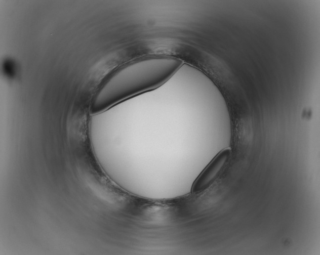 X0000110910364200907021441