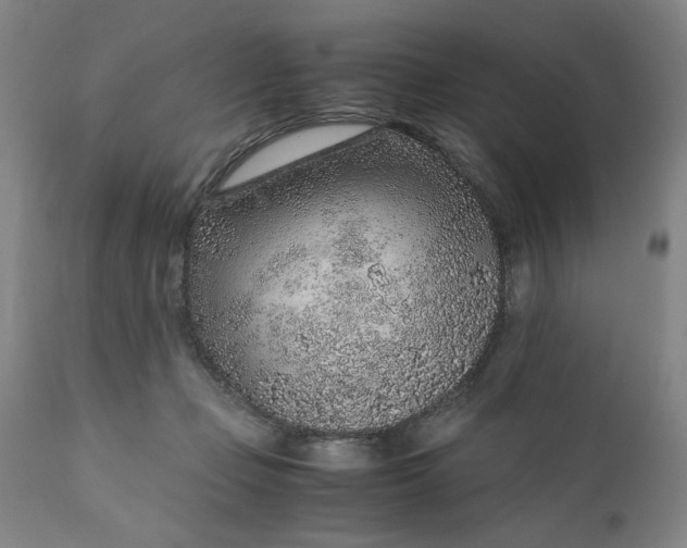 X0000110910365200907021441