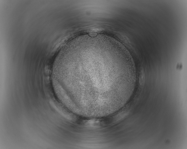 X0000110910366200907021441