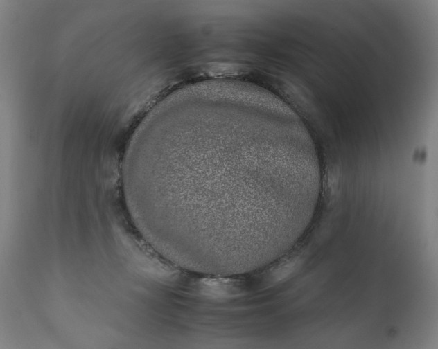 X0000110910367200907021441