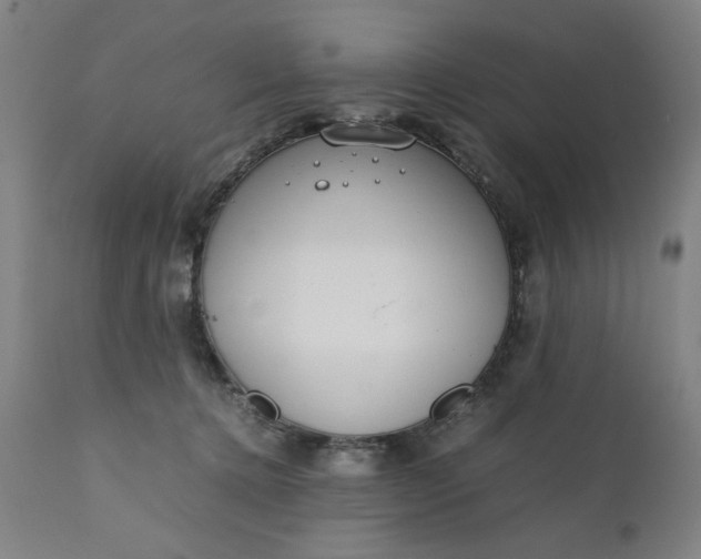 X0000110910368200907021441