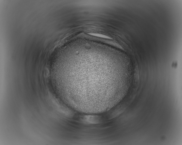 X0000110910371200907021441