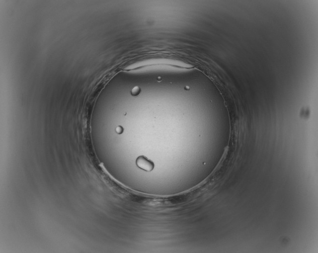 X0000110910372200907021441