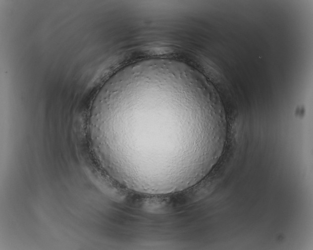 X0000110910373200907021441