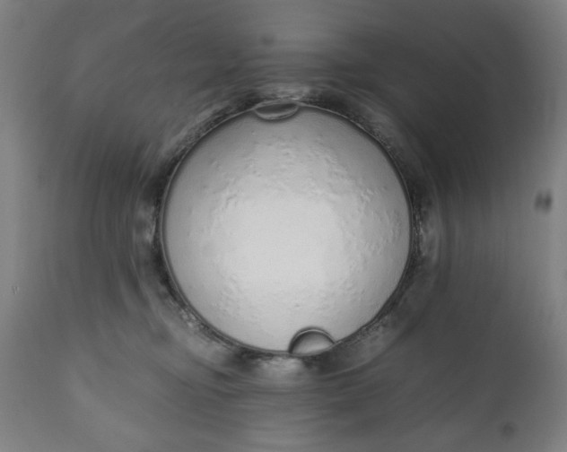 X0000110910374200907021441