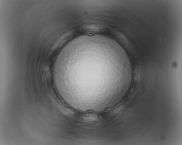 X0000110910377200907021441