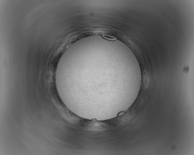 X0000110910379200907021441