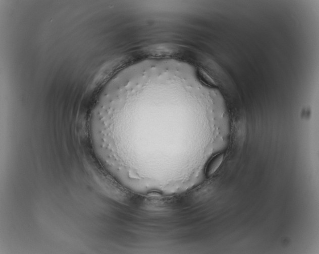 X0000110910381200907021441