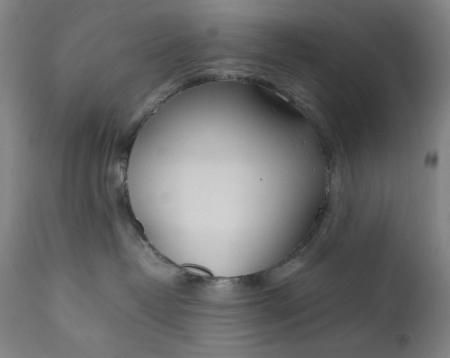 X0000110910382200907021441