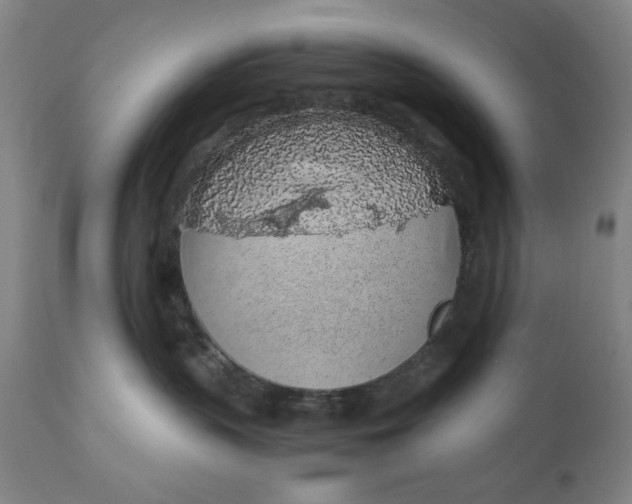 X0000110910383200907021441