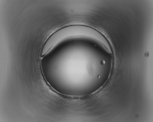 X0000110910385200907021440