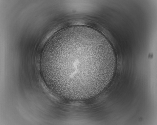 X0000110910386200907021440