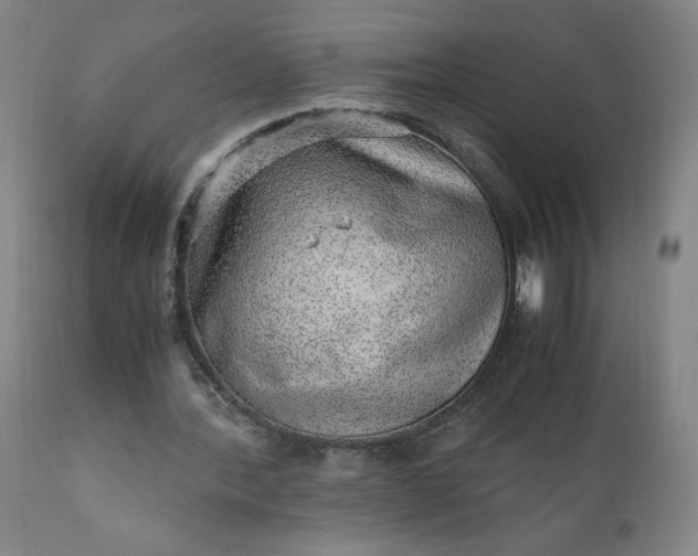 X0000110910388200907021440