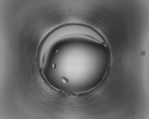 X0000110910391200907021440